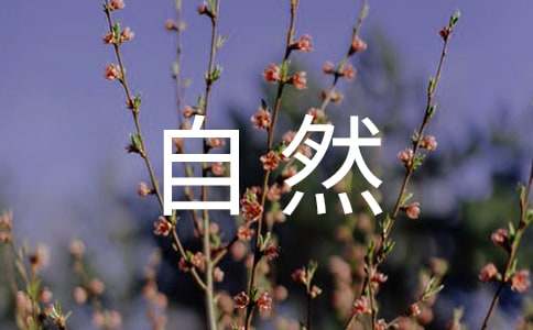 關注自然作文3000字4篇