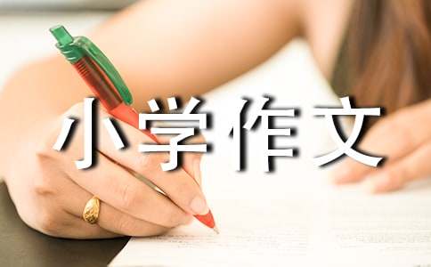 實用的小學(xué)的小學(xué)作文1200字集合九篇