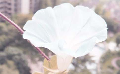 以牽?；椴牧系淖魑?/><span style=