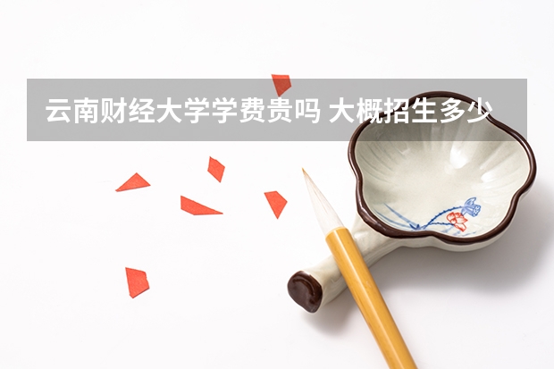 云南財經大學學費貴嗎 大概招生多少人