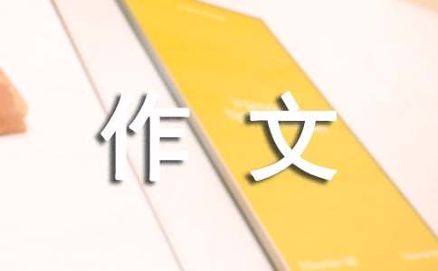 西游記續編作文500字（精選28篇）