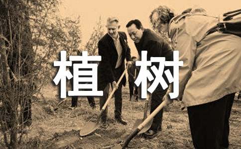 植樹二年級(jí)小學(xué)作文