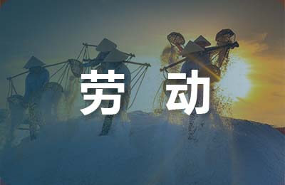 勞動關系協調師論文