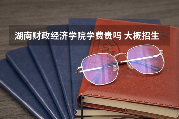 湖南財政經(jīng)濟學院學費貴嗎 大概招生多少人