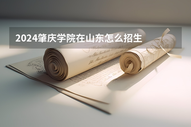 2024肇慶學院在山東怎么招生