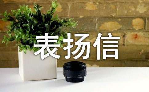 寫給企業的表揚信