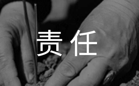 任期經(jīng)濟責任述職報告
