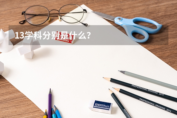 13學科分別是什么？