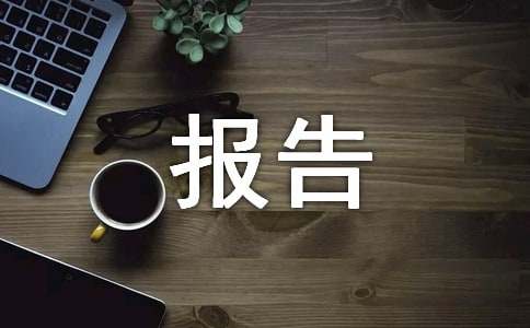 [經典]服裝市調報告范文