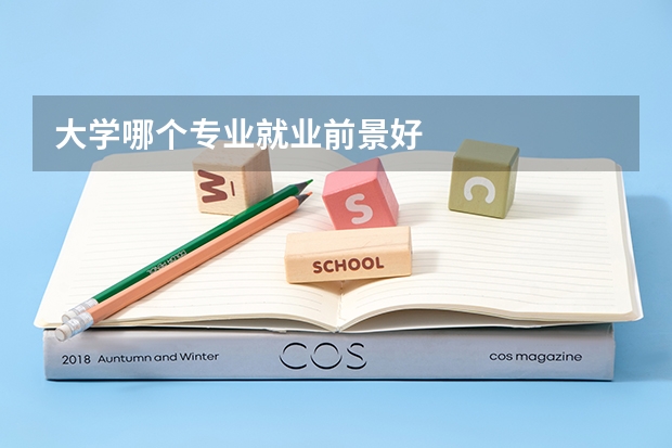 大學(xué)哪個(gè)專(zhuān)業(yè)就業(yè)前景好
