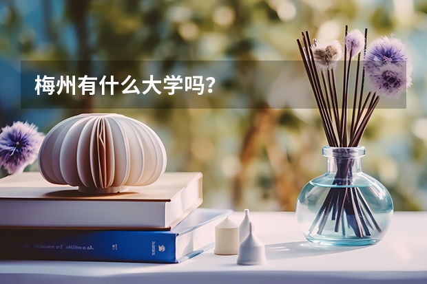 梅州有什么大學嗎？
