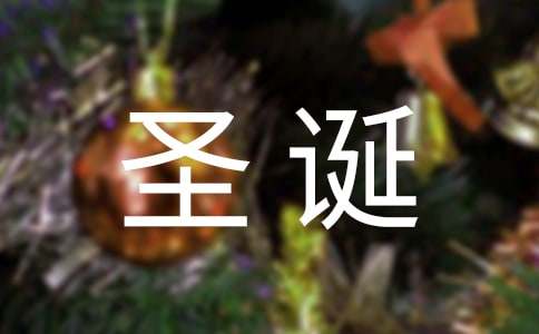 難忘的圣誕節(jié)小學作文（精選20篇）