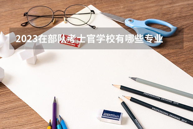 2023在部隊考士官學(xué)校有哪些專業(yè) 什么專業(yè)適合部隊長干