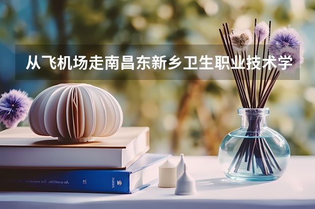 從飛機場走南昌東新鄉(xiāng)衛(wèi)生職業(yè)技術(shù)學(xué)怎么走