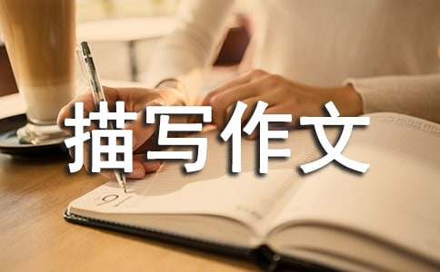 肖像描寫(xiě)作文