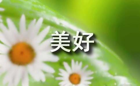 美好的21世紀說明文作文（精選15篇）