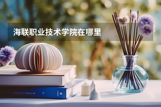 海聯(lián)職業(yè)技術(shù)學(xué)院在哪里
