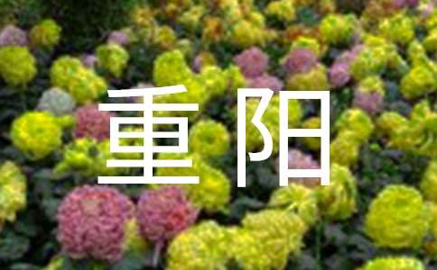溫暖人心九九重陽手抄報內(nèi)容