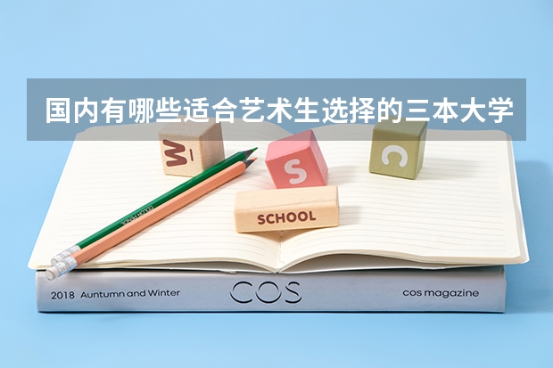 國內(nèi)有哪些適合藝術(shù)生選擇的三本大學值得推薦？