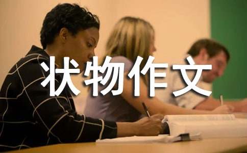 描寫(xiě)狀物作文600字（精選35篇）