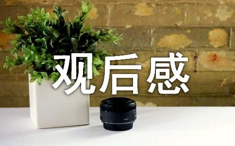 《焦點(diǎn)訪(fǎng)談》央視節(jié)目觀(guān)后感范文（精選11篇）