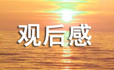 北京冬奧會優(yōu)秀觀后感1000字