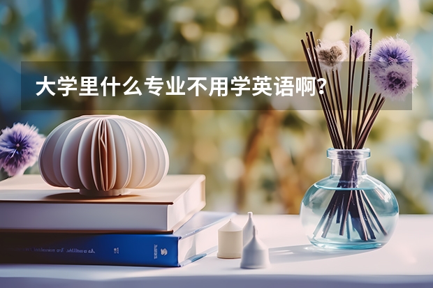 大學里什么專業(yè)不用學英語啊？