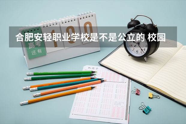 合肥安輕職業學校是不是公立的 校園治安怎么樣 亂不亂？