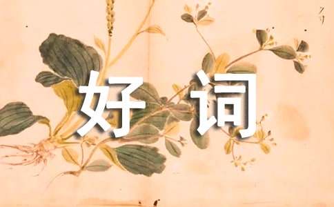 四年級(jí)好詞好句