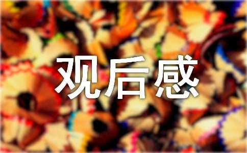 2024年神舟十九號(hào)載人飛船發(fā)射觀后感（精選17篇）