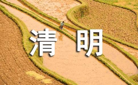 清明節的初三作文900字（通用25篇）