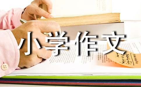 吊蘭小學作文