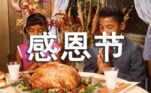 感恩節感想[集錦15篇]