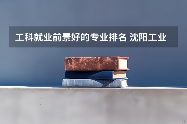 工科就業(yè)前景好的專業(yè)排名 沈陽工業(yè)大學文科專業(yè)排名？