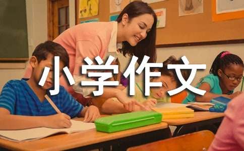 用好壓歲錢的小學(xué)作文300字（精選46篇）