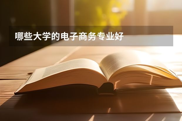 哪些大學的電子商務專業好