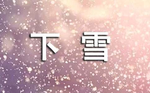 一年級關(guān)于下雪了的作文「錦集」