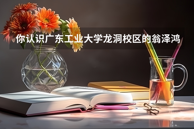 你認(rèn)識(shí)廣東工業(yè)大學(xué)龍洞校區(qū)的翁澤鴻嗎？