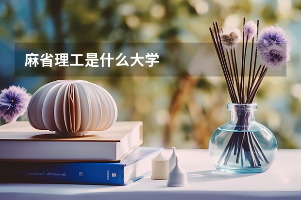 麻省理工是什么大學