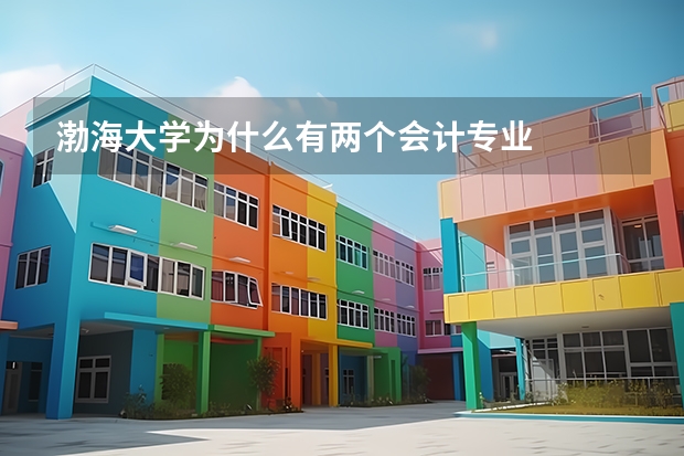 渤海大學(xué)為什么有兩個(gè)會(huì)計(jì)專(zhuān)業(yè)