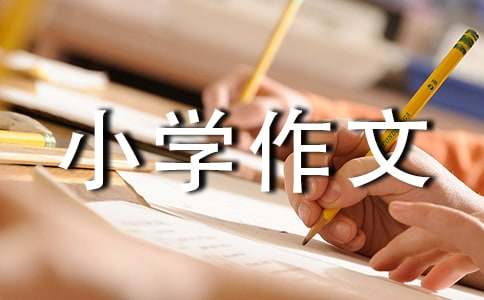 小學作文我最喜歡的動物優選【15篇】
