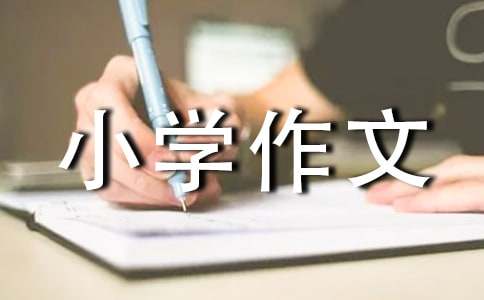 記一次難忘的活動小學作文