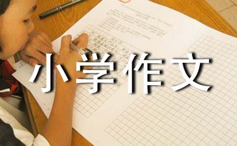 一堂有趣的活動課小學作文