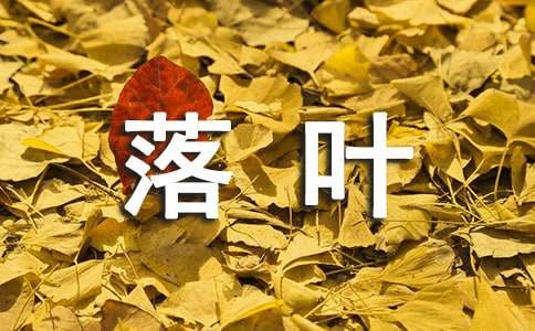 美麗的落葉小學作文