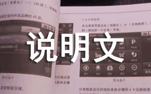 說明文的作文優秀
