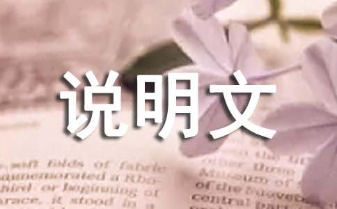 藍鯨的自述說明文