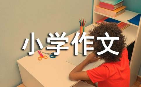 假文盲小學作文(集合15篇)