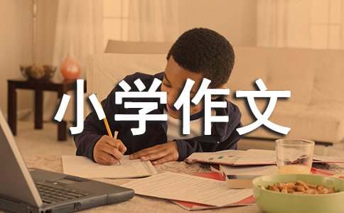 一個(gè)敬佩的人小學(xué)作文