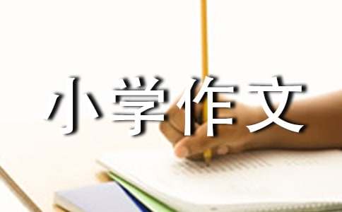 開卷是否有益小學作文