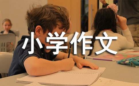 【推薦】小學的小學作文700字錦集八篇